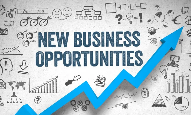 Examples Of Corporate Entrepreneurship - Business & Money - corporate entrepreneurship