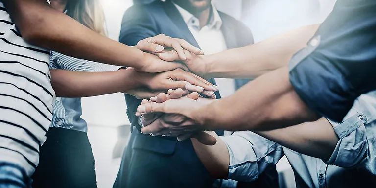what are the characteristics of company