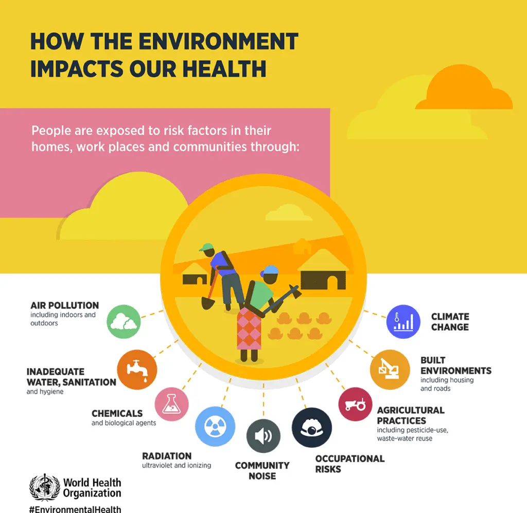 environmental health issues