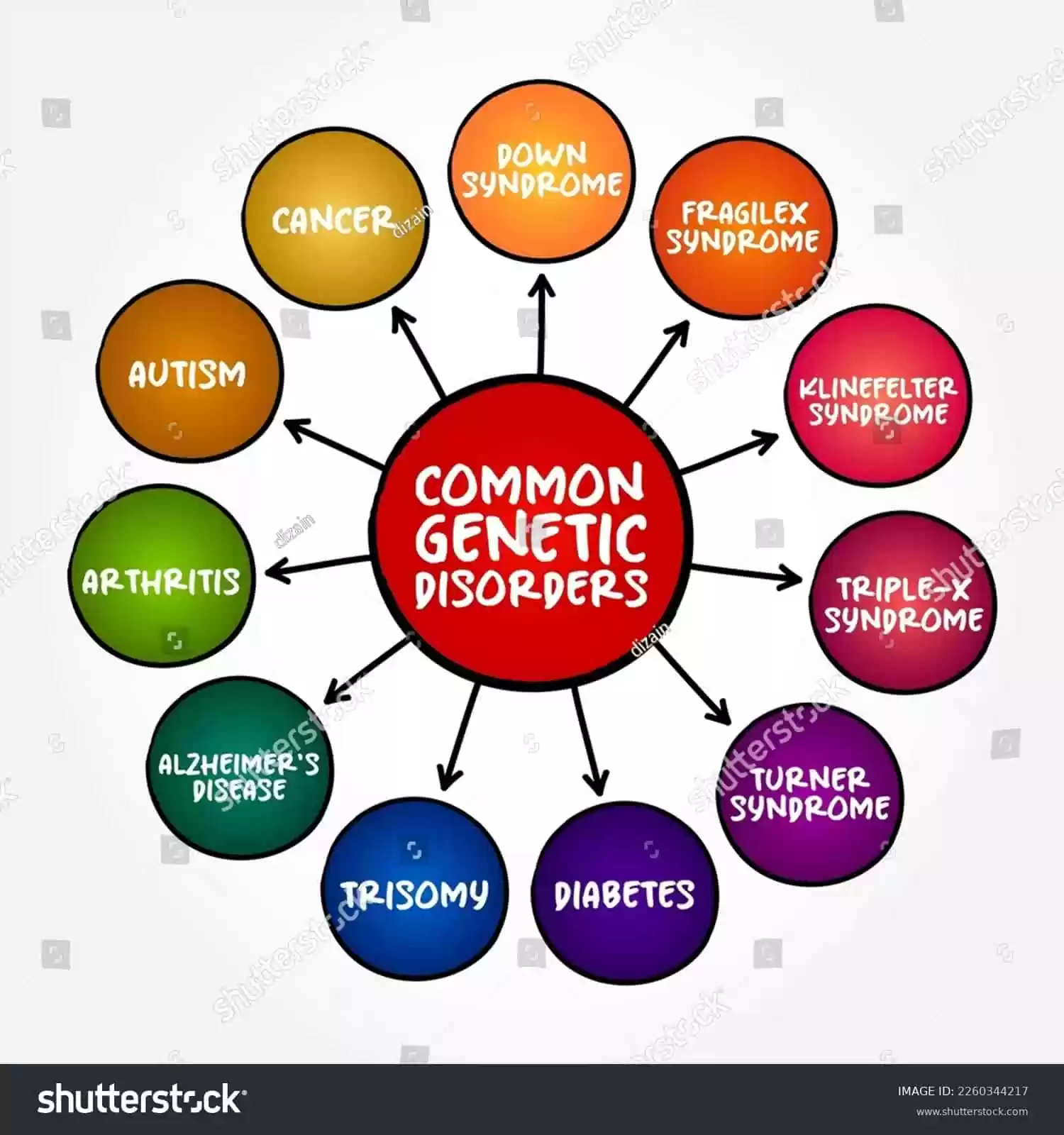 common genetic disorders