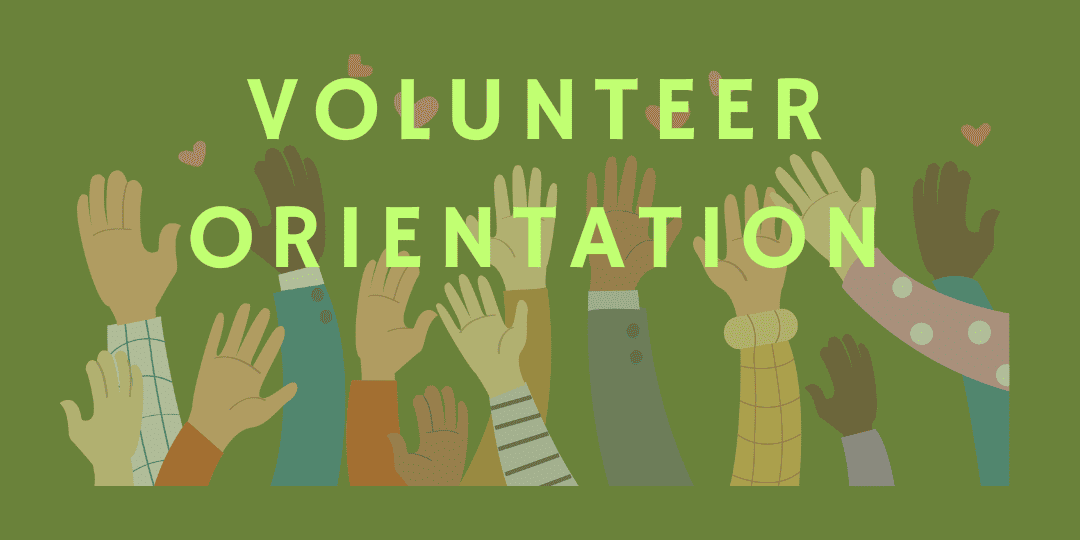 Unlocking the Power of Volunteer Orientation Program: A Comprehensive Guide - Entrepreneurship