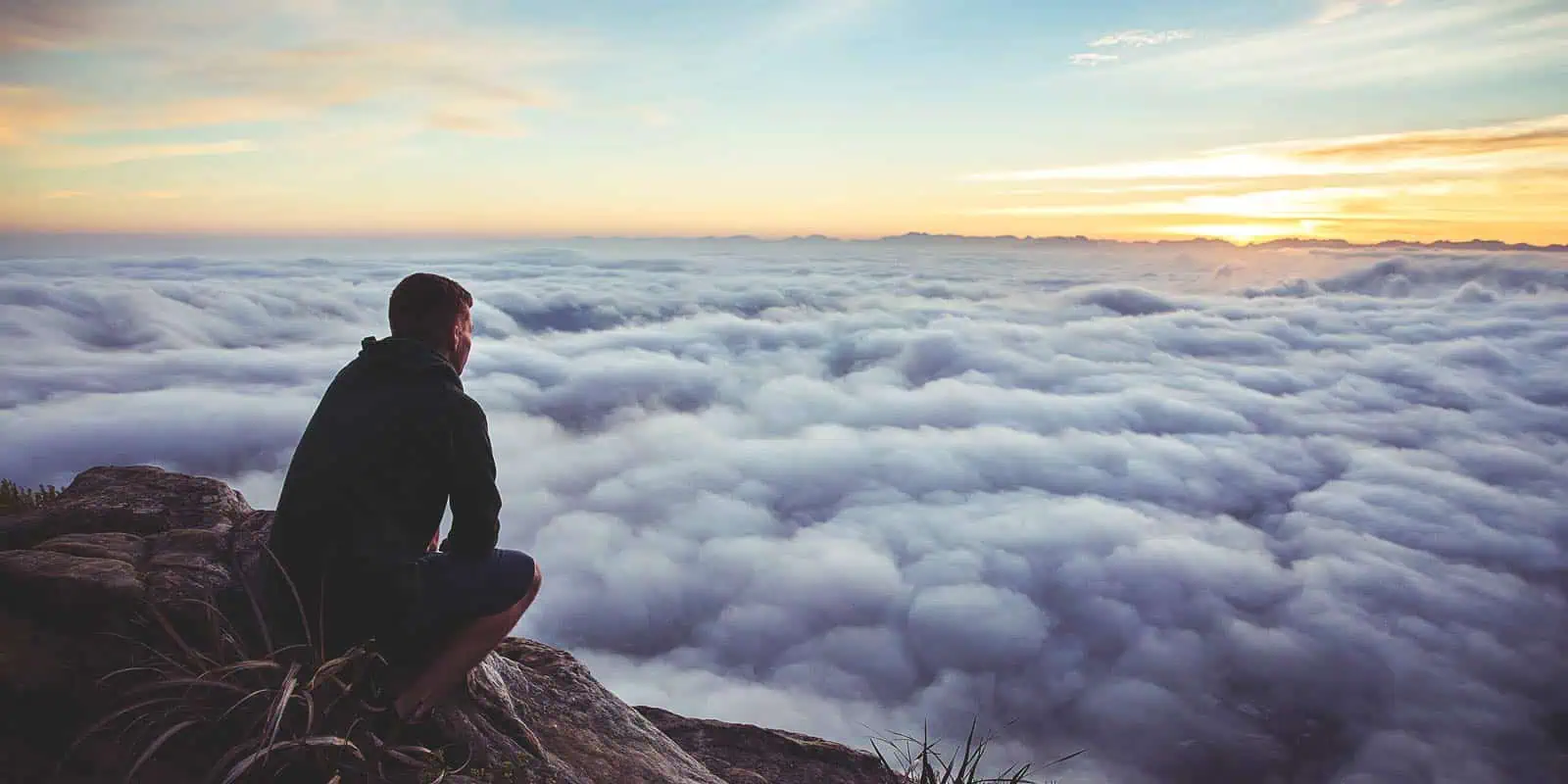 defining life's purpose